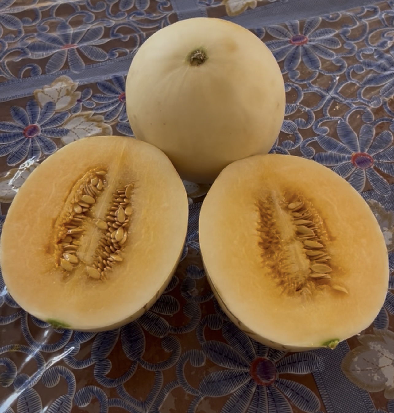 Melon Honeydew Orange Flesh